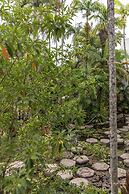 Club Tropical Resort Port Douglas