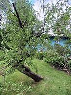 Hotel Vervana, Trademark Collection by Wyndham