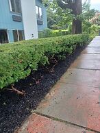 Hotel Vervana, Trademark Collection by Wyndham