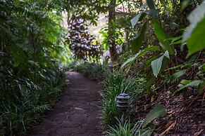 Finca Rosa Blanca Coffee Farm and Inn