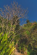 Finca Rosa Blanca Coffee Farm and Inn