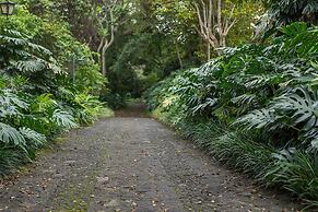 Finca Rosa Blanca Coffee Farm and Inn