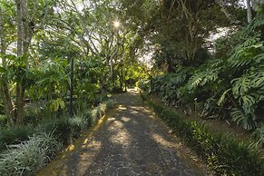 Finca Rosa Blanca Coffee Farm and Inn