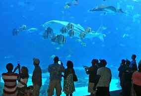 Arrayanes Playa Hotel