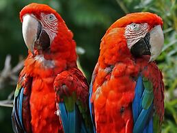 Arrayanes Playa Hotel