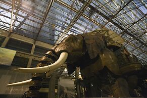 Cerise Nantes Atlantis