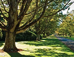 Balmoral Lodge Motel