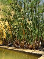 Casa en el Campo Hotel & Spa