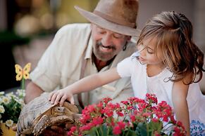 The Ritz-Carlton, Dove Mountain