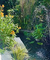 Ashleigh Court Motel-Christchurch Hagley Park