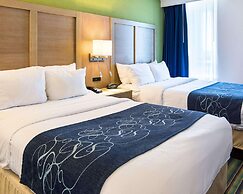 Comfort Suites Beachfront