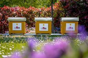 Hotel Cosmopolitan Bologna