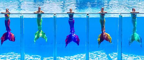 Daima Biz Hotel - Dolusu Aquapark Access