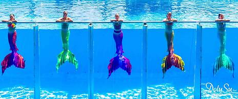 Daima Biz Hotel - Dolusu Aquapark Access