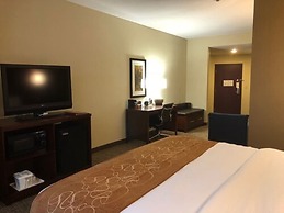 Comfort Suites Forrest City