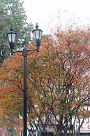 Hampton Inn Gallipolis