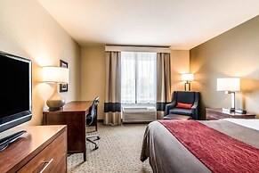 Comfort Inn & Suites Rifle