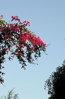 Hersonissos Village Hotel & Bungalows - All inclusive