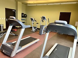 Tulyp, Tapestry Collection by Hilton