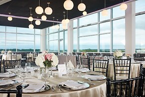 Tulyp, Tapestry Collection by Hilton