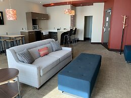 Tulyp, Tapestry Collection by Hilton