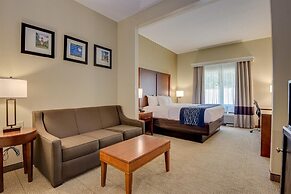 Comfort Inn & Suites Augusta Fort Eisenhower Area