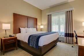 Comfort Inn & Suites Augusta Fort Eisenhower Area