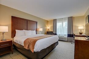 Comfort Inn & Suites Augusta Fort Eisenhower Area
