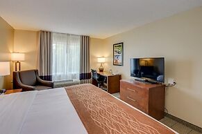 Comfort Inn & Suites Augusta Fort Eisenhower Area