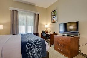Comfort Inn & Suites Augusta Fort Eisenhower Area
