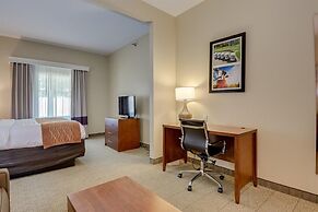 Comfort Inn & Suites Augusta Fort Eisenhower Area