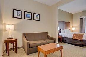 Comfort Inn & Suites Augusta Fort Eisenhower Area