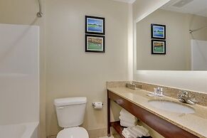 Comfort Inn & Suites Augusta Fort Eisenhower Area