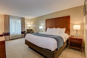 Comfort Inn & Suites Augusta Fort Eisenhower Area