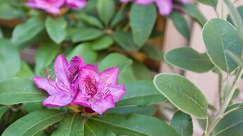 The Inn at Virginia Mason