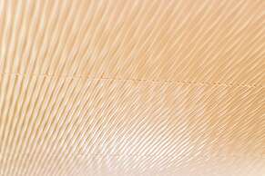 Noom Hotel Dakar Sea Plaza, a member of Radisson Individuals