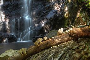 Binna Burra Sky Lodges