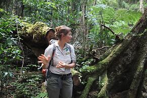 Binna Burra Sky Lodges