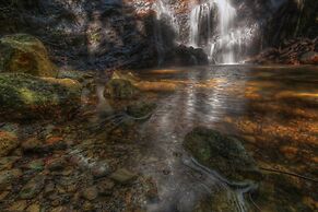 Binna Burra Sky Lodges