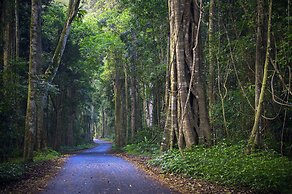 O'Reilly's Rainforest Retreat