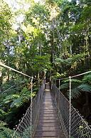 O'Reilly's Rainforest Retreat