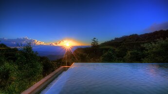 O'Reilly's Rainforest Retreat