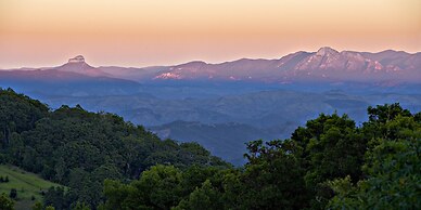 O'Reilly's Rainforest Retreat