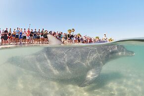 RAC Monkey Mia Dolphin Resort