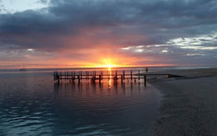 RAC Monkey Mia Dolphin Resort