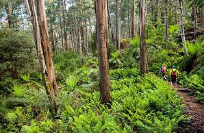Walhalla's Star Hotel