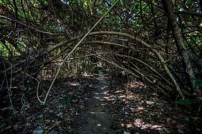 Eco Village Mission Beach