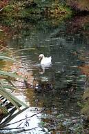 Avlon House Bed & Breakfast