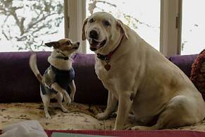 Admiral Peary Inn Bed & Breakfast