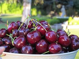 Warm Springs Inn & Winery